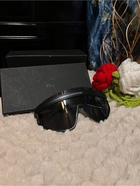 nwt Shield Sunglasses